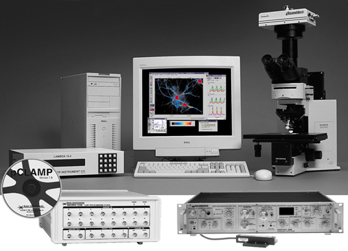 Imaging and Electrophysiology