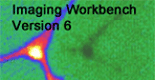 imaging workbench 5.0