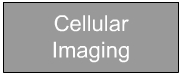 Cellular Imaging