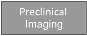 Preclinical Imaging