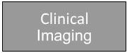 Clinical Imaging